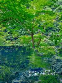 青もみじのリフレクションに酔いしれる【嵐山 祐斎亭】