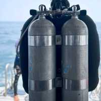 **🌊 Dive into Paradise: Scuba Adventure in Phi Phi Island 🐠**