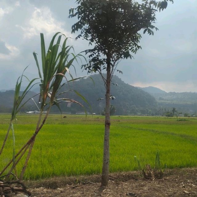 Padang 3 Days Itinerary