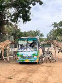 泰國北碧府野生動物園