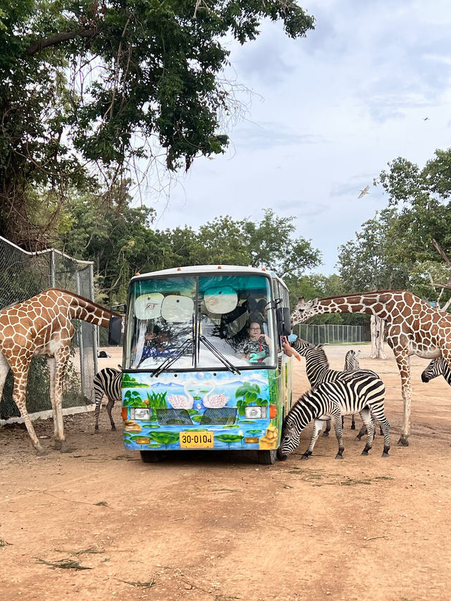 泰國北碧府野生動物園