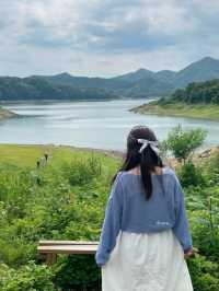이곳이 바로 한국의 스위스🇨🇭🌿
