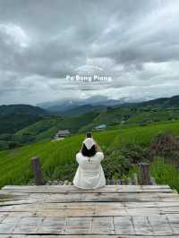 ที่พักป่าบงเปียง | จ.เชียงใหม่ 🏡⛰️🌾🌧️