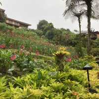 코스타리카 라 파즈 워터폴 가든스 자연공원 La Paz Waterfall Gardens Nature Park