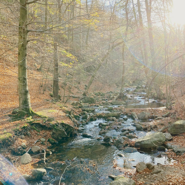 Ilsenburg 에서 하이킹