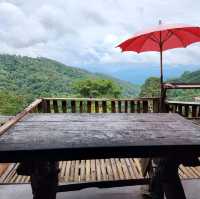 คาเฟ่บนดอย Jungle View Coffee