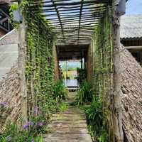 คาเฟ่แบบสโลว์บาร์ Go Back Home