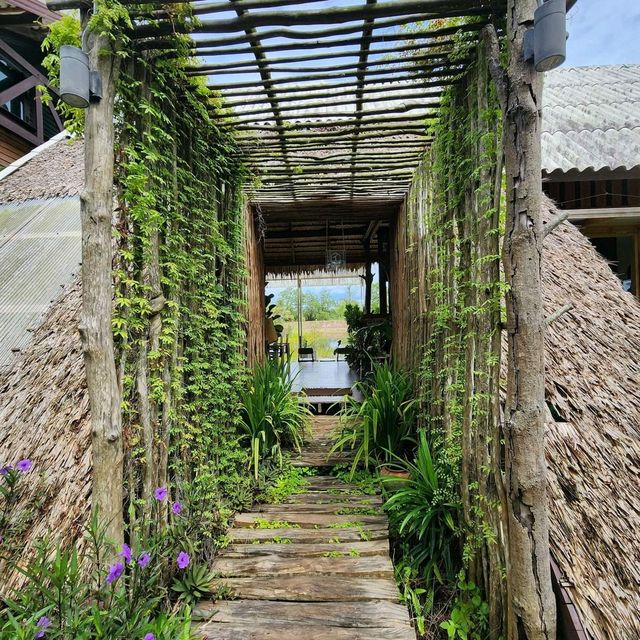 คาเฟ่แบบสโลว์บาร์ Go Back Home