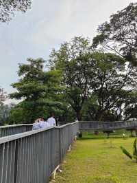 ปั่นจักรยานในสวนสาธารณะกลางกรุง