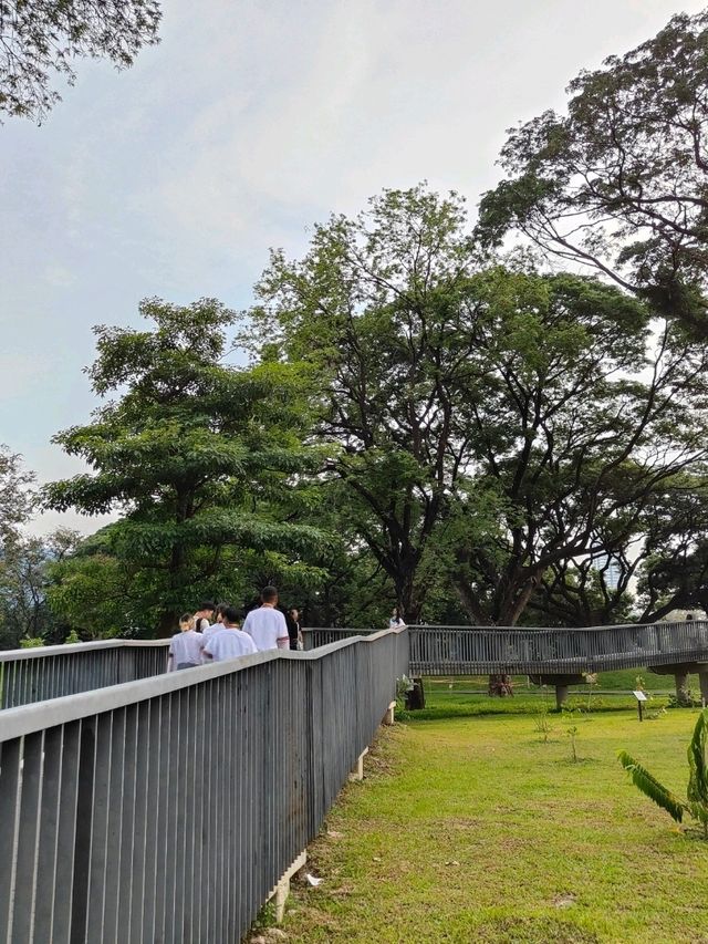 ปั่นจักรยานในสวนสาธารณะกลางกรุง