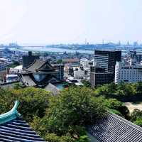 快閃和歌山