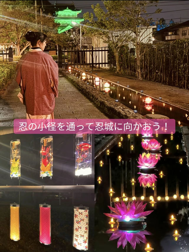 〜埼玉県〜【保存必須】MAP有！今年で最後かも花手水イベント