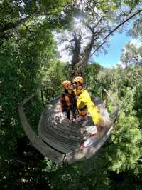 Thrill Through the Trees: Zip Line in South Africa 🇿🇦