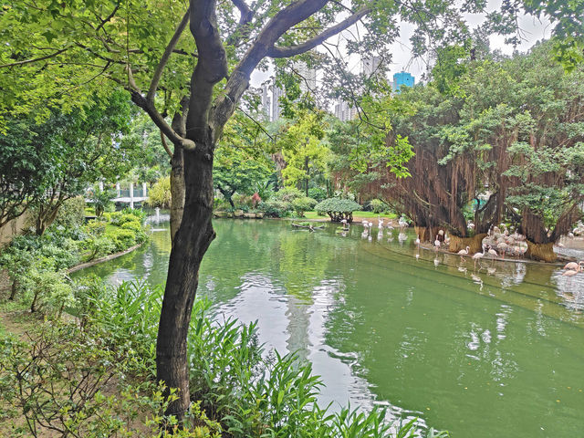居然在九龍公園發現天空之鏡