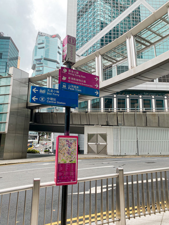 Travel Hacks that You Should Know Before Visiting The Peak, Hong Kong