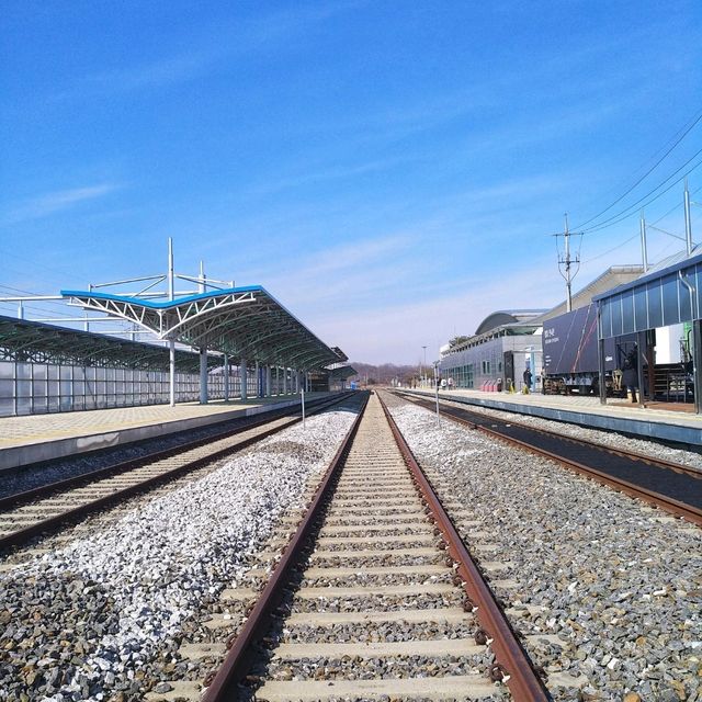 🇰🇷 The DMZ: A Journey to the Edge of History