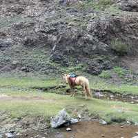 Journey to Yolyn Am: Exploring Mongolia’s Hidden Ice Canyon