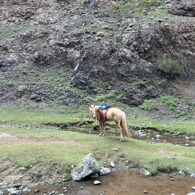 Journey to Yolyn Am: Exploring Mongolia’s Hidden Ice Canyon