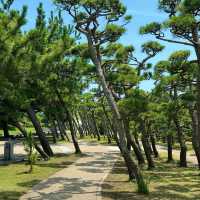 🌊 根本海岸：天然的美麗畫卷