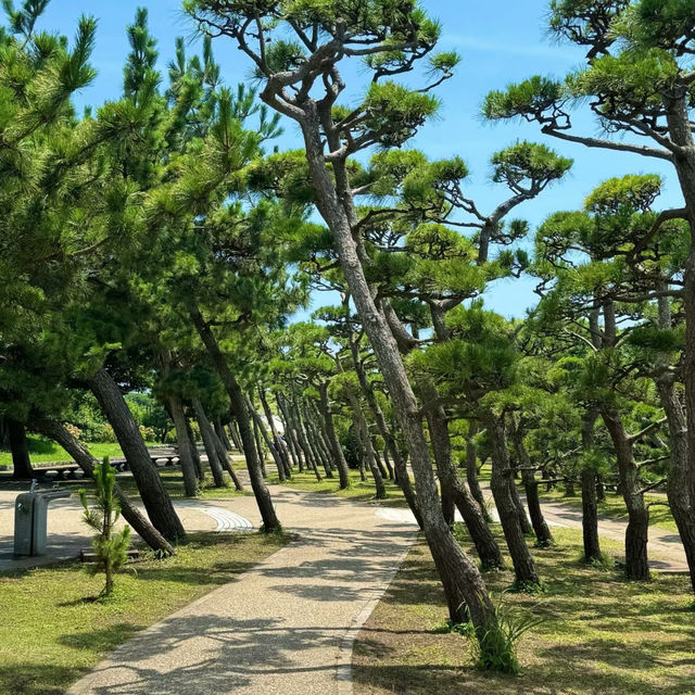 🌊 根本海岸：天然的美麗畫卷