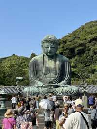 【鎌倉】觀光必到路線-高德院 鎌倉大佛