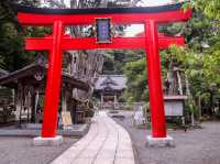 【静岡県】 南伊豆「下田」にある伊豆最古の宮:白濱神社