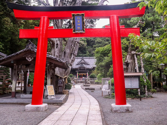 【静岡県】 南伊豆「下田」にある伊豆最古の宮:白濱神社