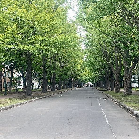 홋카이도대학 박물관 탐방