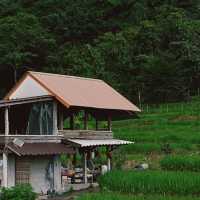 นาขั้นบันได ป่าบงเปียง - เชียงใหม่