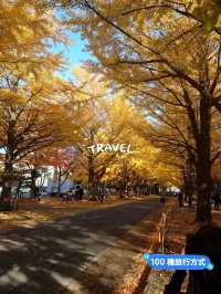 札幌景點｜北海道賞楓、賞銀杏一級戰區—北海道大學