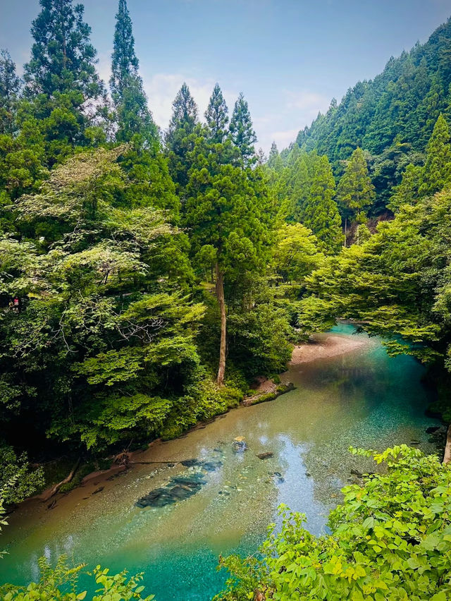 神秘的な色で輝く癒しの清流と日本屈指の透明度は知る人ぞ知る公言を躊躇する㊙️スポット