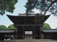【東京観光】東京の都会に広がる癒しの森！明治神宮を御参拝⛩️