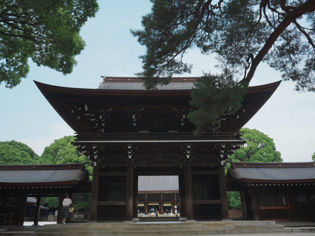 【東京観光】東京の都会に広がる癒しの森！明治神宮を御参拝⛩️