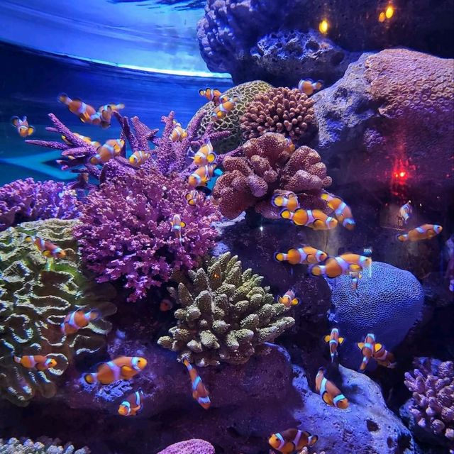 Sea Life Bangkok Ocean World