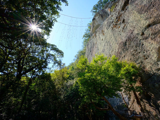 【三重/熊野】一生に一度は行きたい絶景！丸山千枚田