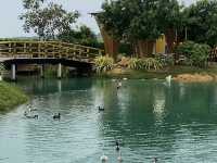 Seaverse cafe and restaurant คาเฟ่ใหญ่สงขลา