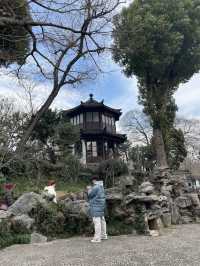 From Ancient Streets to Serene Gardens: A Journey Through Suzhou’s Timeless Beauty