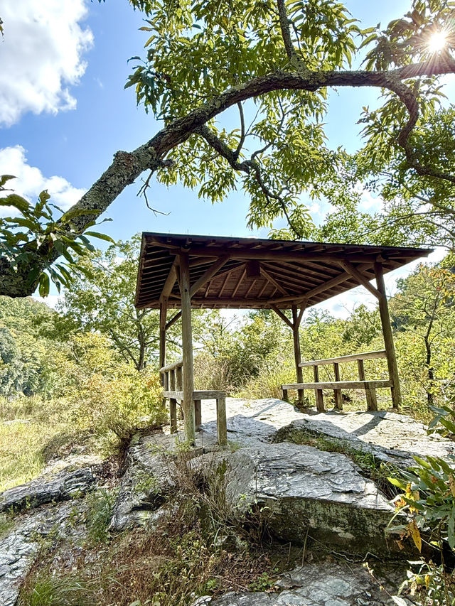 【埼玉県】アスレチック気分で長瀞散歩