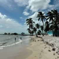 Serenity by the Sea: A Comprehensive Review of Beaches