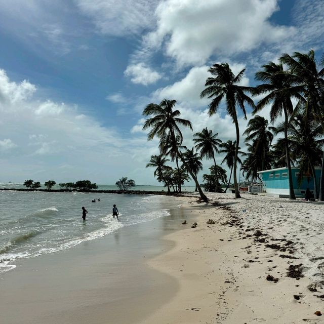 Serenity by the Sea: A Comprehensive Review of Beaches
