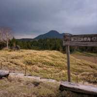 【長野】志賀高原・前山山頂の大自然が広がる絶景