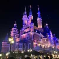 【上海ディズニーランド🇨🇳】お得な年パス情報！