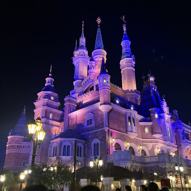 【上海ディズニーランド🇨🇳】お得な年パス情報！
