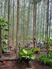 Phupha Coffee Camp ภูผา คอฟฟี่ แค้มป์