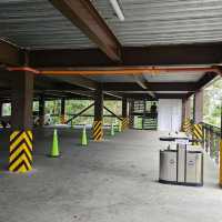 The New Tops of Cebu Exoerience