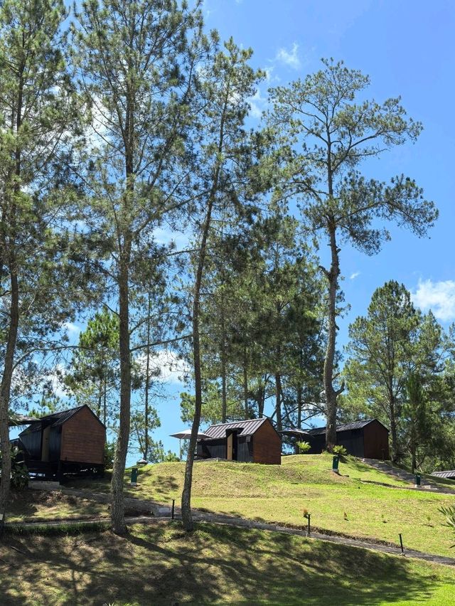 Glamping with Fantastic view of Toba Lake 