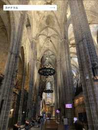 【憧れのスペイン旅行🇪🇸】建築学生が薦める✨学生のうちに行きたいバルセロナ７選