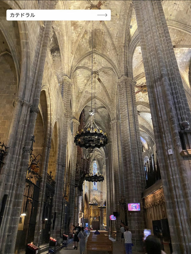 【憧れのスペイン旅行🇪🇸】建築学生が薦める✨学生のうちに行きたいバルセロナ７選