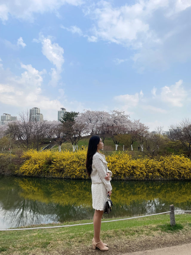 꽃 명소는 이곳!!