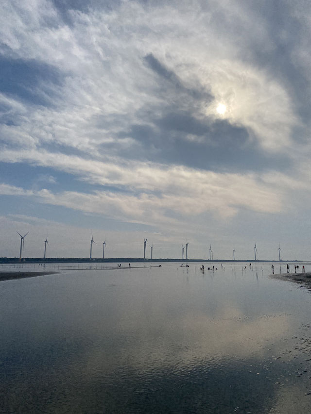 《高美濕地》：簡單又夢幻的自然生態